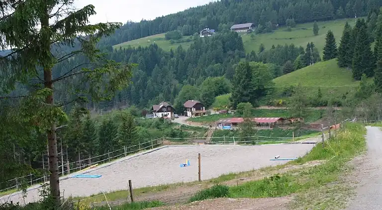 Apartment in Liebenfels