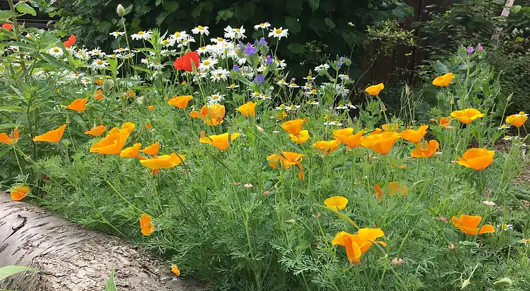 Holiday home in Dannau