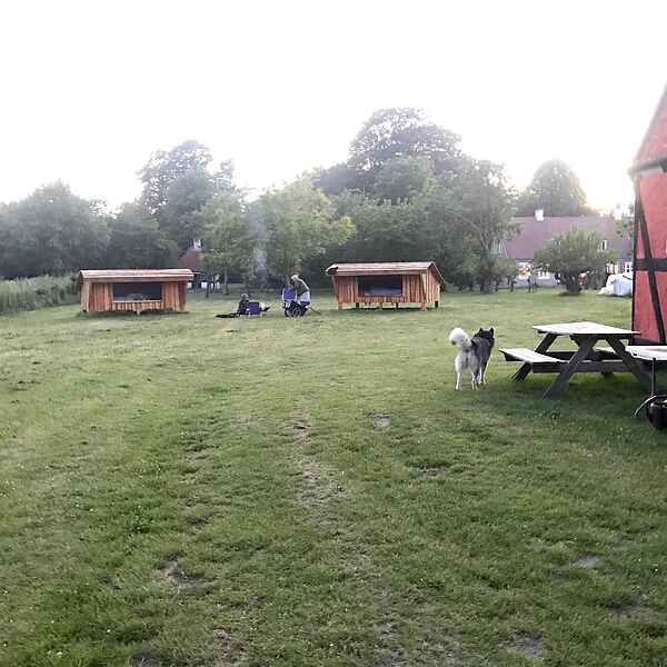 Shelter