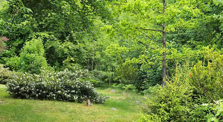 Holiday home in Örkelljunga N