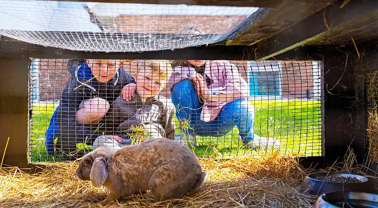 7 vær.,Rækkehus,2 badev.,2 plan