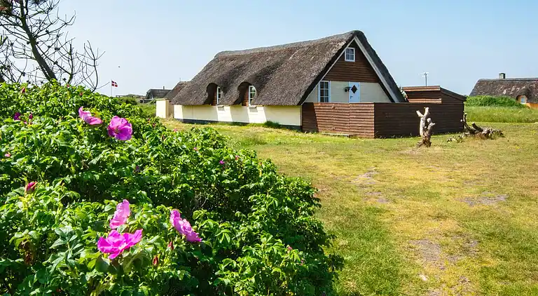 Holiday home in Ringkobing