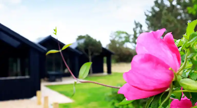 Holiday home in Blåvand