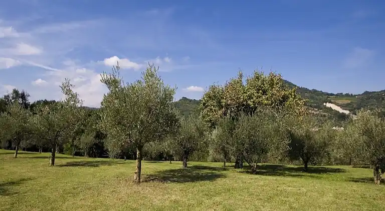 Holiday home in Brisighella