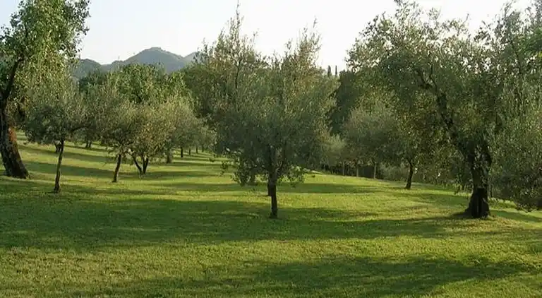 Holiday home in Brisighella