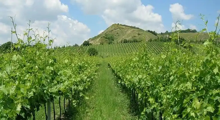 Holiday home in Brisighella