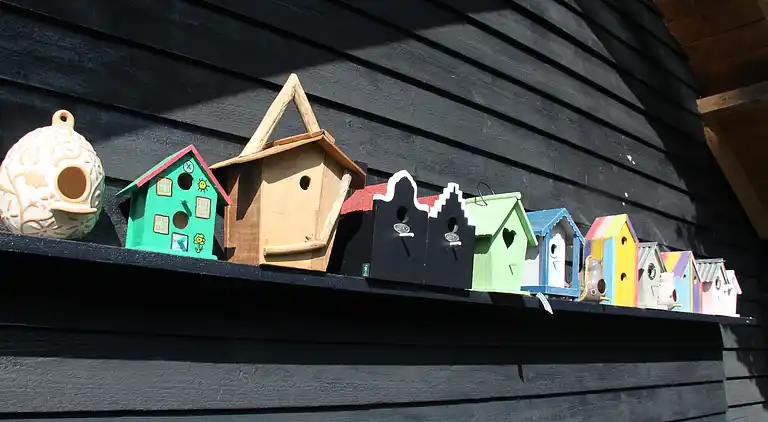 Ferienhaus in Bergeijk