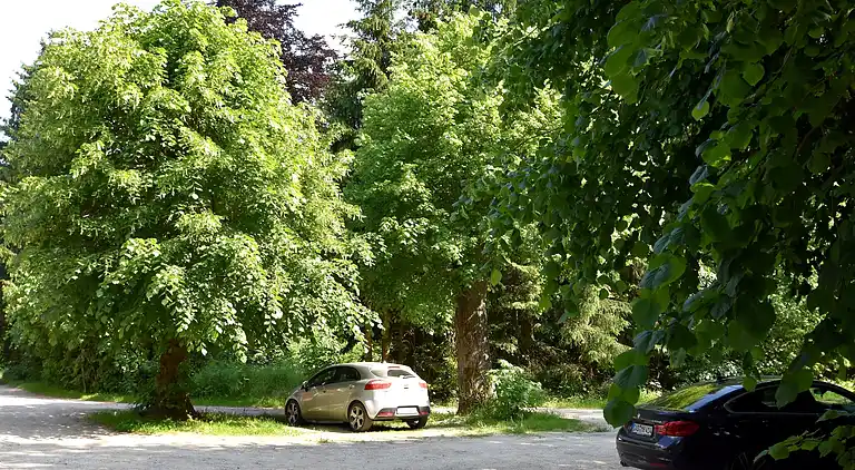 Holiday home in Königshütte