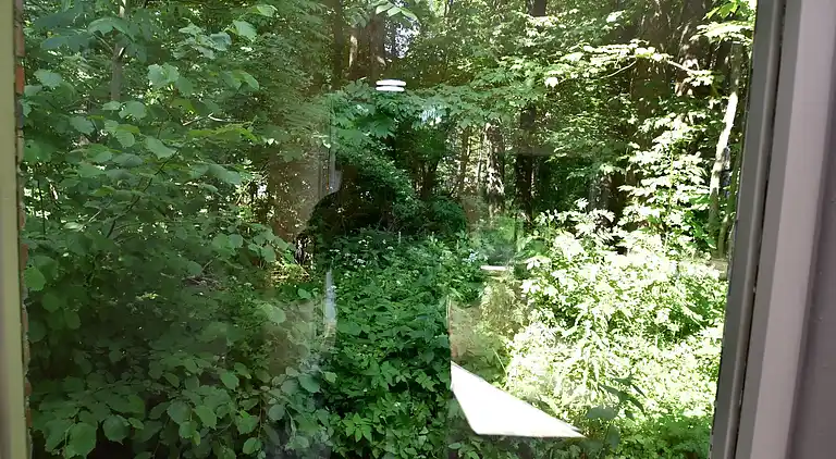 Holiday home in Königshütte