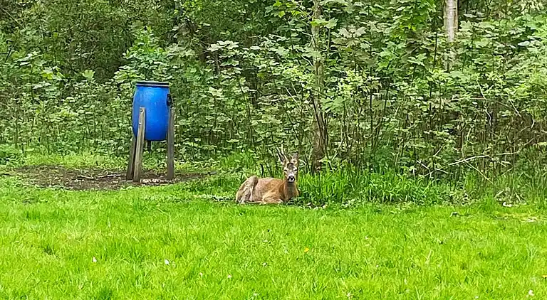 Holiday home in Strøby