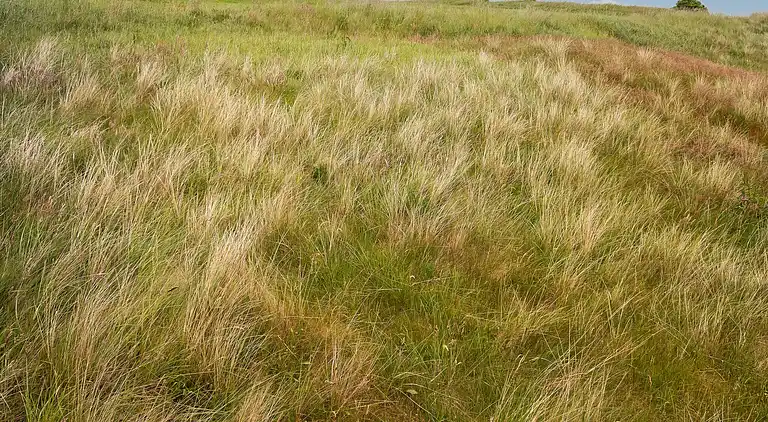 Holiday home in Hanstholm