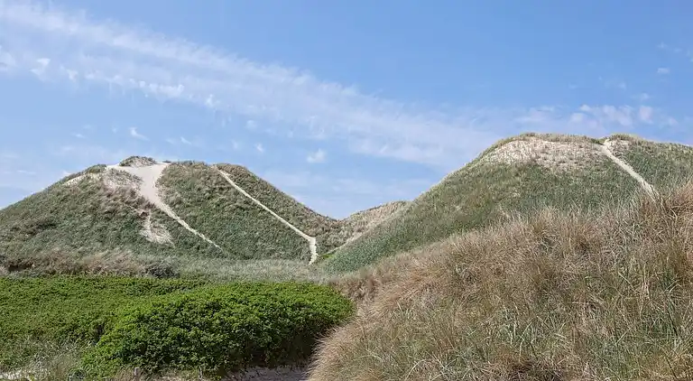 Holiday home in Saltum