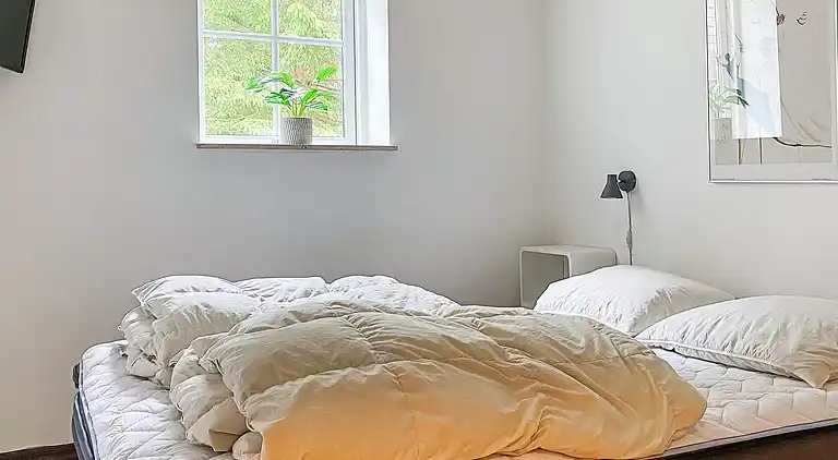 Holiday home in Branderup J