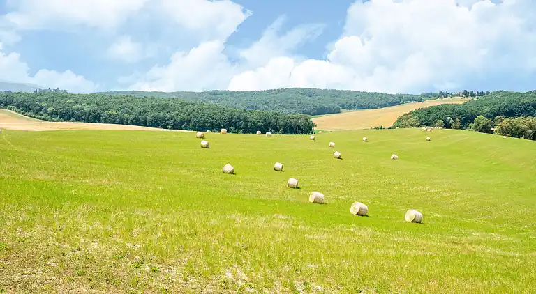 Farmhaus in Collesalvetti