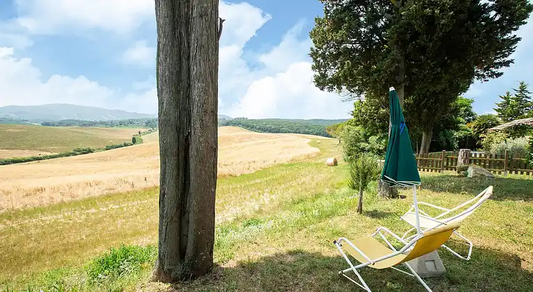 Farm house in Collesalvetti