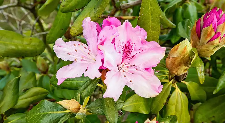 Holiday home in Egernsund