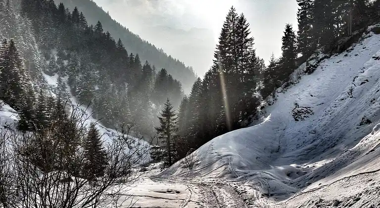 Apartment in Gaschurn