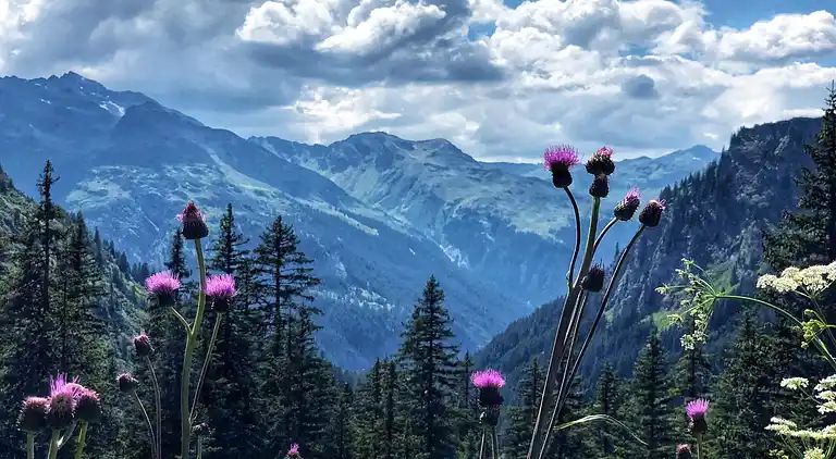 Apartment in Gaschurn