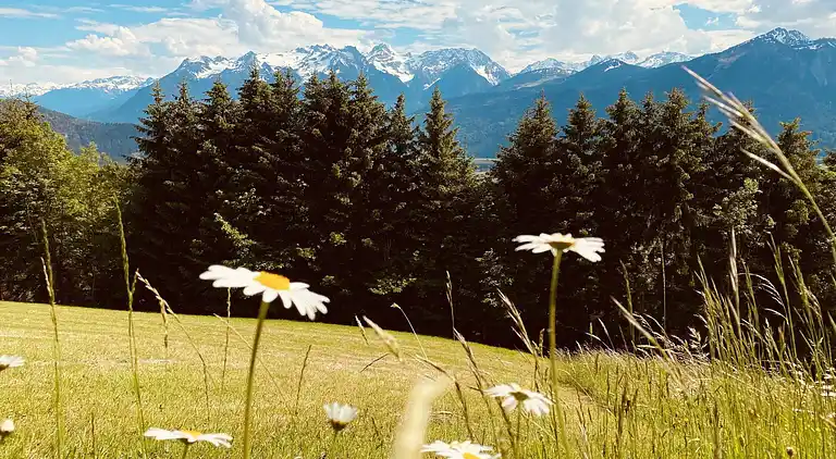 Apartment in Gaschurn