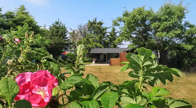 Holiday home in Lønstrup