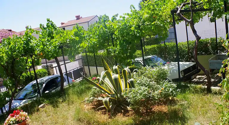 Apartment in Pješčana Uvala