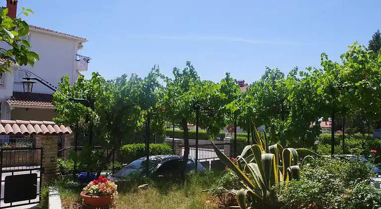 Ferienwohnung in Pješčana Uvala