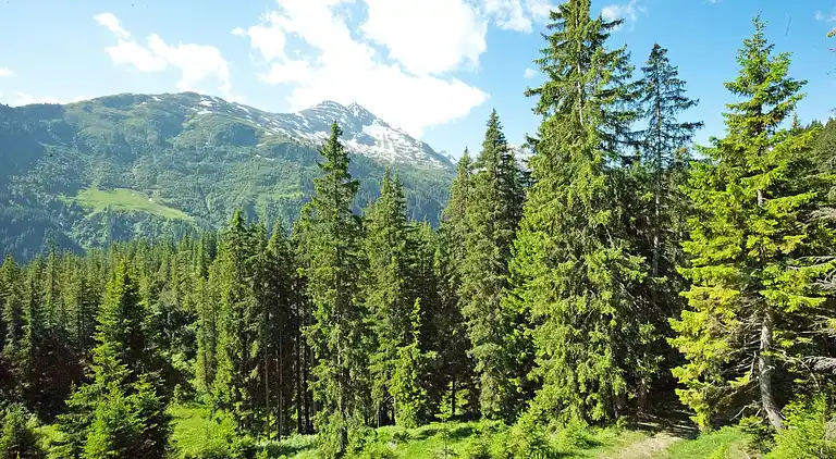 Appartamento in Saint Anton am Arlberg