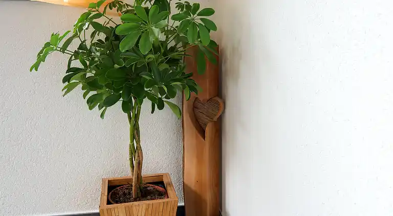 Appartamento in Saint Anton am Arlberg