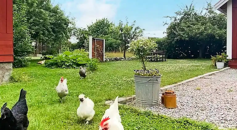 Semesterbostad i Stenhamra