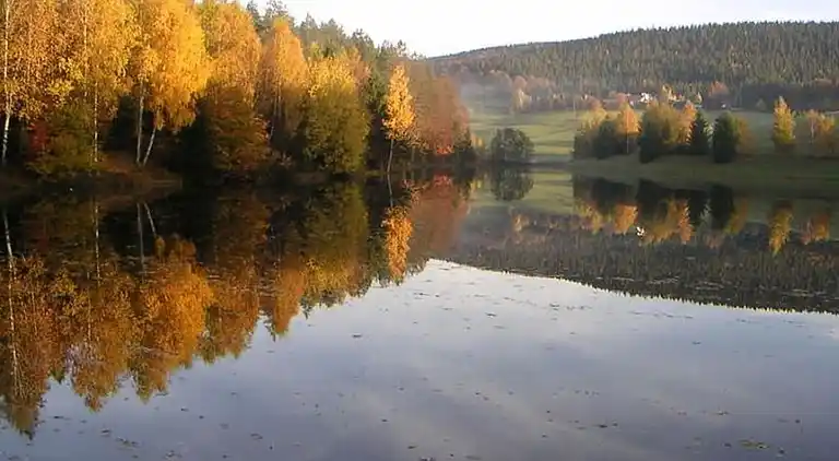 Holiday home in Schimmelbach