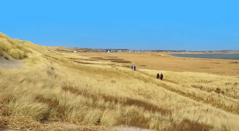 Holiday home in Harboøre