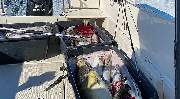 Holiday home in Barmen