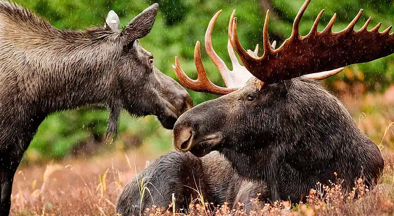 Holiday home in Vänersborg Municipality