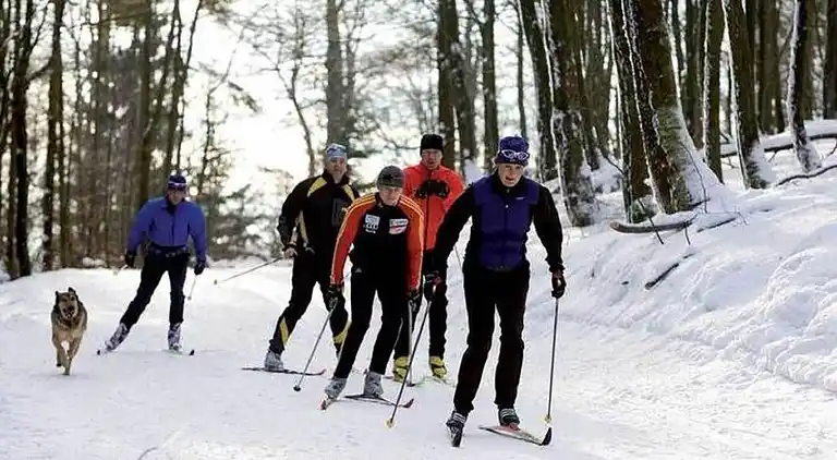 Ferienhaus in Stormbruch