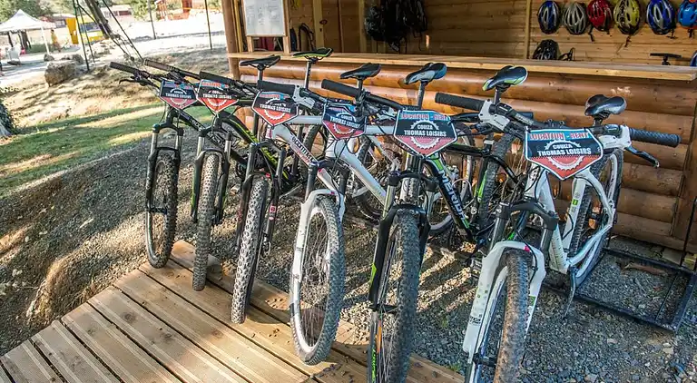 Holiday home in Occitanie