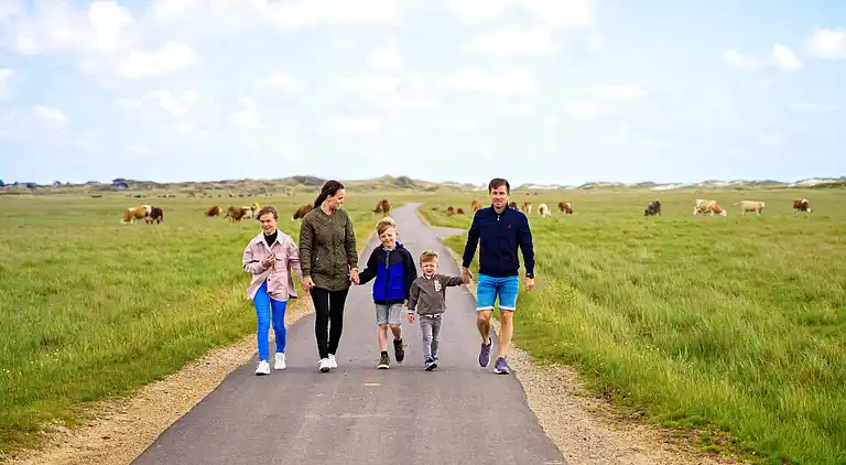 7 vær.,Rækkehus,2 badev.,2 plan