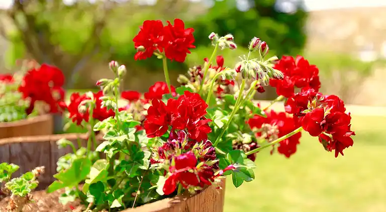 Villa Karteros with private swimming pool