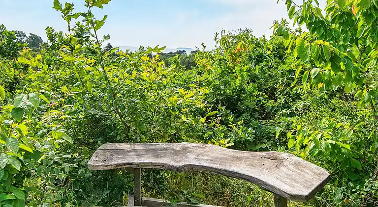 Holiday home in Ebeltoft