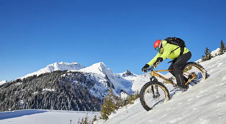 Manor house in Kappl