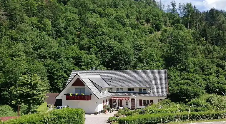 Apartment in Lierbach