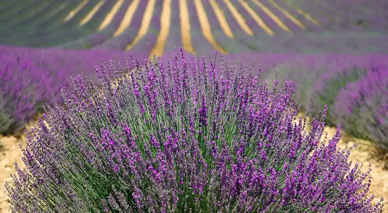 Holiday home in Cornillon