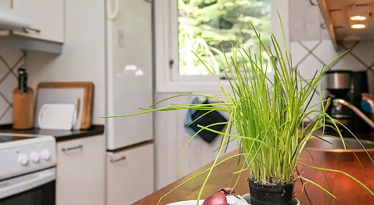 Holiday home in Stoense Udflyttere