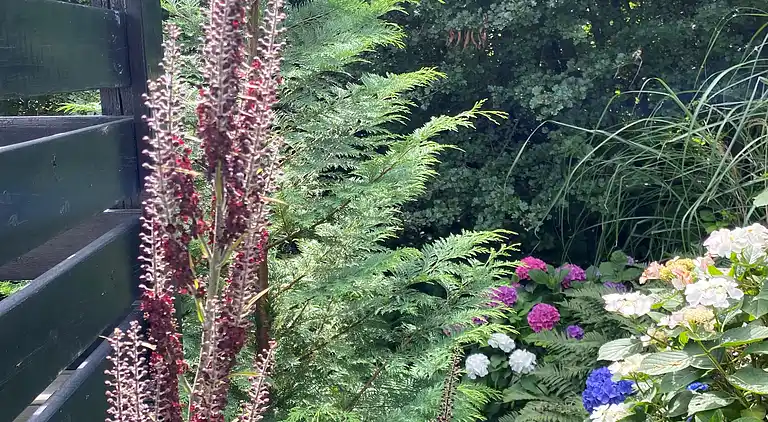Sommerhus med havudsigt på smukke Bornholm