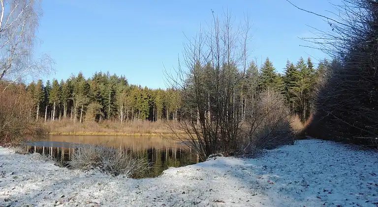 Semesterbostad i Vivy