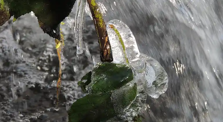 Semesterbostad i Vivy