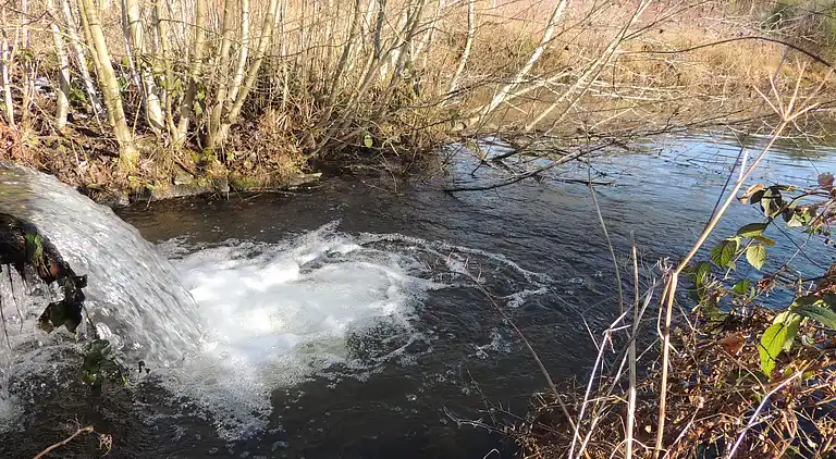 Semesterbostad i Vivy