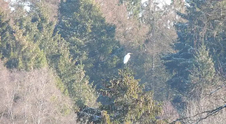 Semesterbostad i Vivy