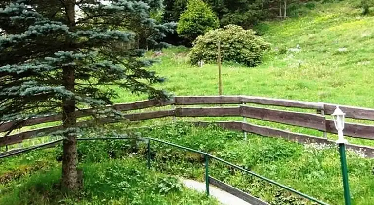 Ferielejlighed i Altenbrak