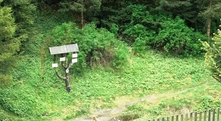 Ferielejlighed i Altenbrak