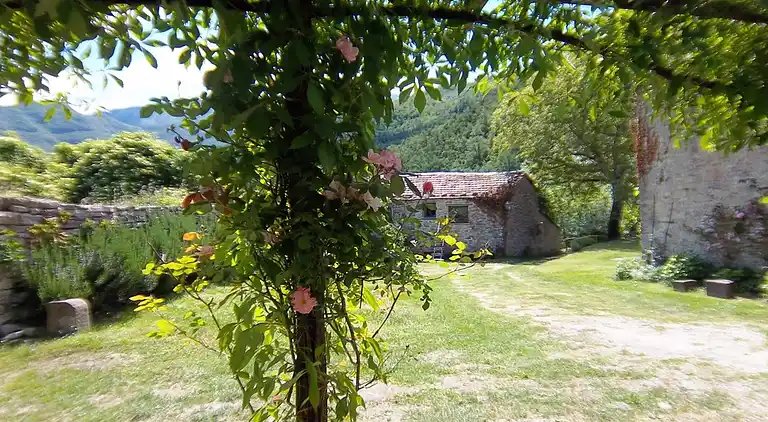 Feriebolig i Il Castagno D'Andrea